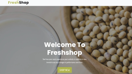 Шаблон FreshShop 2023 – скачайте бесплатно